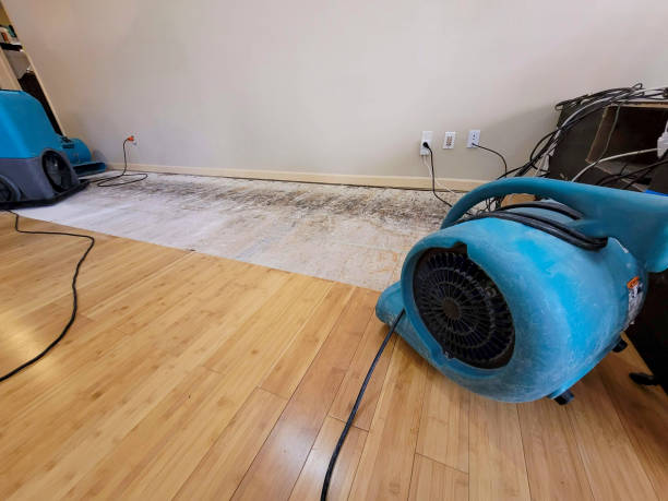 Professional Basement Flood Cleanup technician working in Neenah, WI